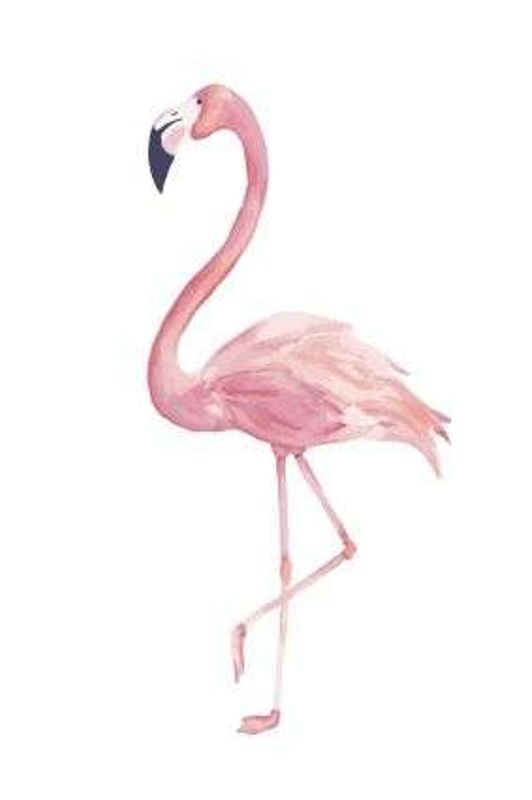 Flamingo | 10x15 cm